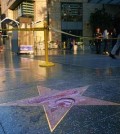 Trump Star Vandalized