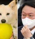 This compilation image shows Yoon Seok-youl, a presidential contender of the main opposition People Power Party, and a photo of his dog Tory being given an apple, which was posted on Instagram on Oct. 21, 2021, and later deleted. (PHOTO NOT FOR SALE) (Yonhap)