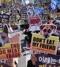 This file photo, taken Oct. 29, 2023, shows protestors calling for a law to ban dog meat consumption outside the National Assembly in western Seoul. (Yonhap)