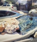 This photo, provided by the Gyeonggi Nambu Provincial Police, shows a car's windshield destroyed by a North Korean balloon carrying trash on June 2, 2024. (PHOTO NOT FOR SALE) (Yonhap)