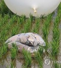 Bundles of trash tied to a balloon sent by North Korea are seen in a rice paddy in Incheon, west of Seoul, in this file photo taken June 10, 2024. (Yonhap)