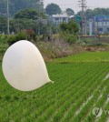 One of the hundreds of trash-carrying balloons sent by North Korea overnight is found in a rice paddy in the northwestern border county of Ganghwa, in this June 10, 2024, file photo. (Yonhap)